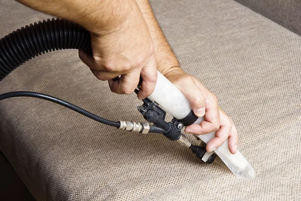 Pet Stain Treatment